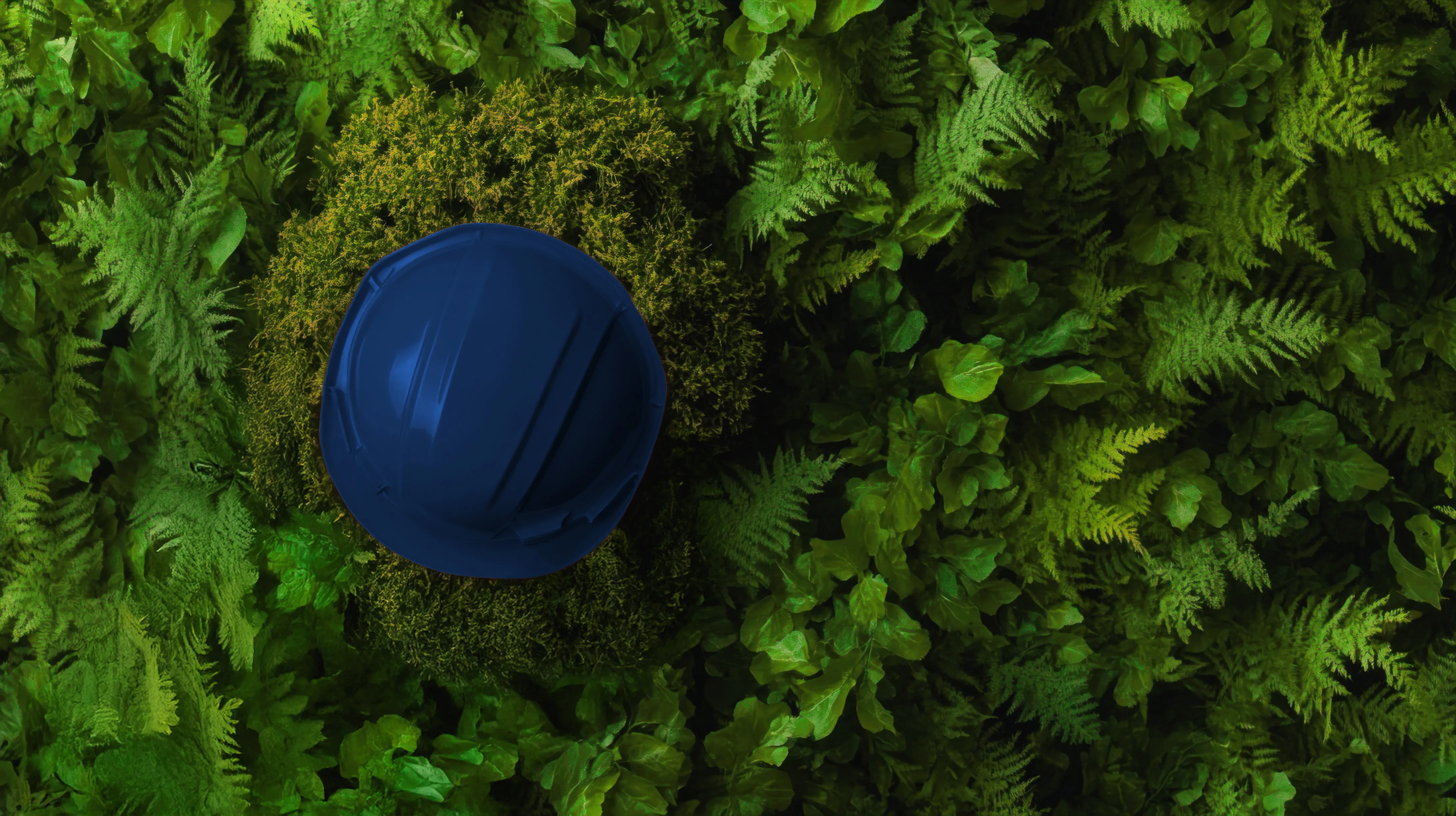 Servizi - Permitting and Sustainability